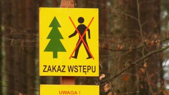 Uwaga! Zakaz wstępu do lasów na terenie kilku gmin w powiecie gryfińskim