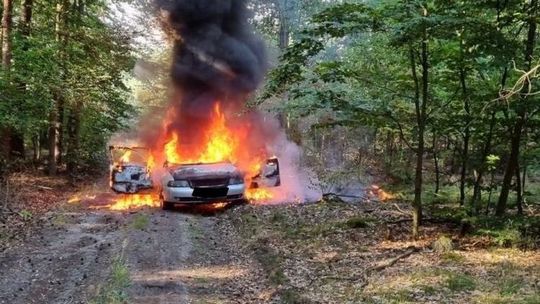 W audi A4 uciekał przed policją. W lesie auto spłonęło