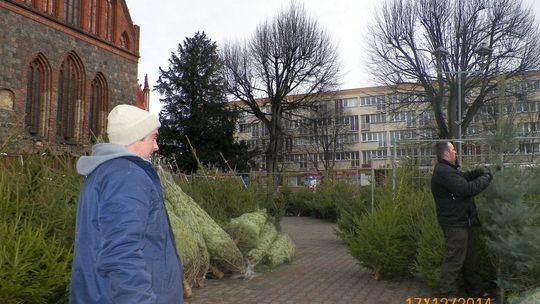 W centrum Gryfina będzie inaczej – obiecuje burmistrz Mieczysław Sawaryn