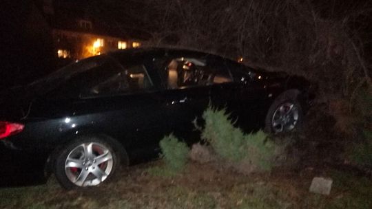 W centrum miasta uderzył w drzewo