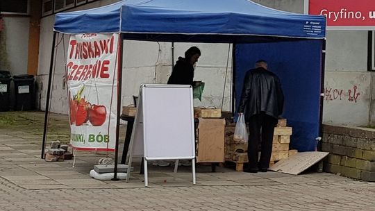 W Gryfinie truskawki poniżej 20 zł