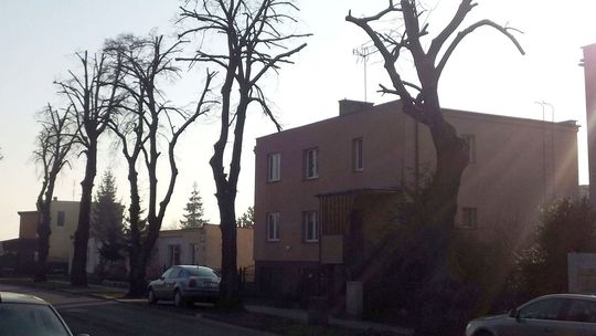 W Gryfinie wygląda masakrycznie – ocenia czytelnik