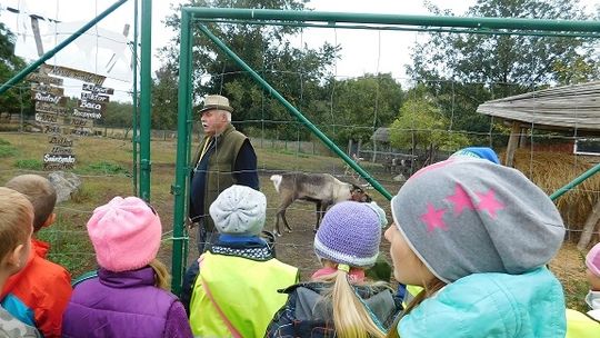 W lapońskiej wiosce renifery i… ziemniaki