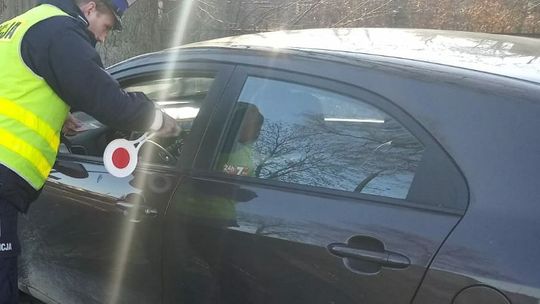 W lesie znaleziono skradzione wcześniej auto 