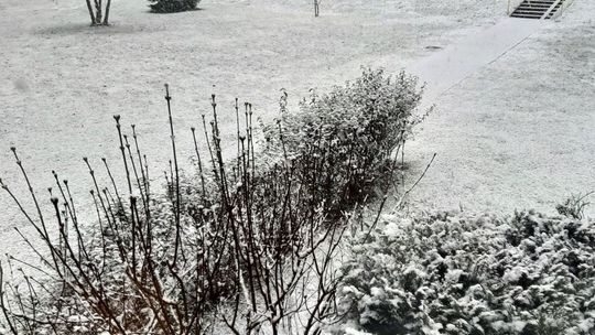 W marcu jak w garncu. Zamiast przedwiośnia, wróciła zima