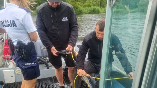 W Odrze ryby pływają do góry brzuchem! Wojewoda zwołał sztab kryzysowy