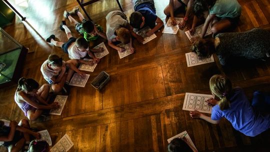 W sobotę bezpłatnie