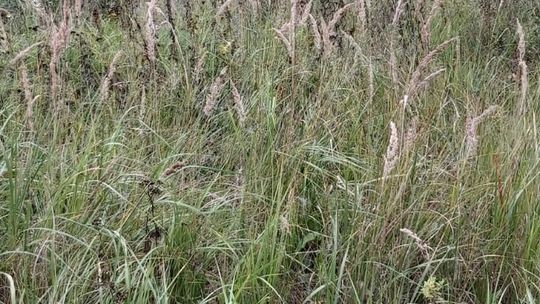 W takich fatalnych warunkach mieszkają ludzie - alarmuje czytelnik