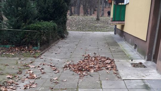 W TBS ta sama śpiewka o pandemii, a śmieciowisko fruwa po ulicach - żali się czytelnik