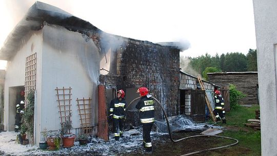 Walczyli z ogniem, wodą i osami