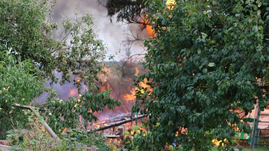 Walczyli z pożarem na terenie ogródków działkowych [FOTO, WIDEO]