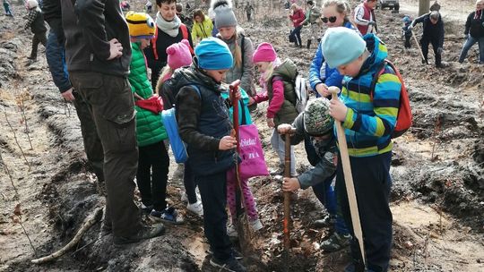 Walka ze smogiem. W sobotę sadzili las
