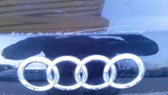 Wandal grasował w Gardnie