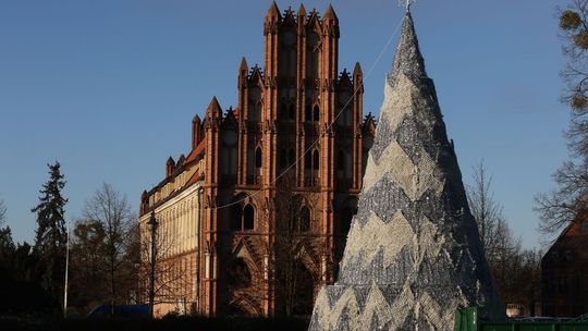 Wandale zniszczyli choinkę. Kto chciał ukraść gwiazdę