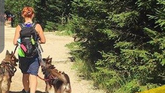 Weź udział w rajdzie na orientację z psem