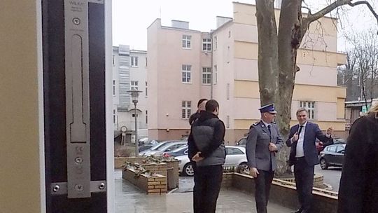 Wiceburmistrz sygnalizuje temat wycinki platana