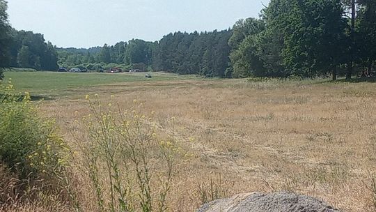 Wielka akcja służb mundurowych pod Gryfinem