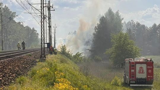 Wielki pożar przy torowisku. Wstrzymano ruch pociągów
