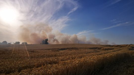 Wielki pożar zboża na polu [ZDJĘCIA]