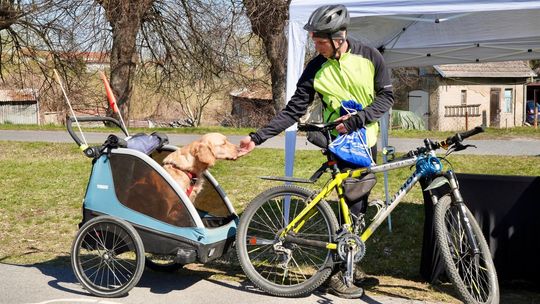 Wielu rowerzystów i... pies. Piknik na otwarcie ścieżek rowerowych w gminie Gryfino