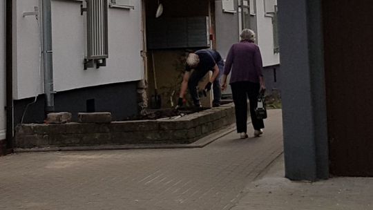 Wiemy jak zniknęła choinka