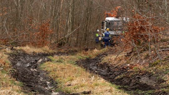 Wiemy, kiedy prąd wróci do Chojny oraz miejscowości w gm. Mieszkowice, Trzcińsko, Moryń i Cedynia Wiemy, kiedy prąd wróci do Chojny oraz miejscowości w gm. Mieszkowice, Trzcińsko, Moryń i Cedynia