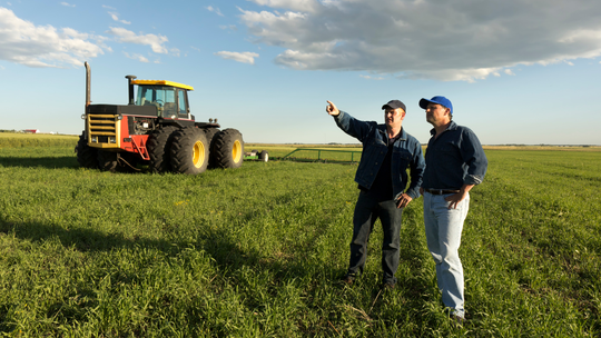 Politycy wprowadzają w błąd opinię publiczną co do antyeuropejskich nastrojów na wsi