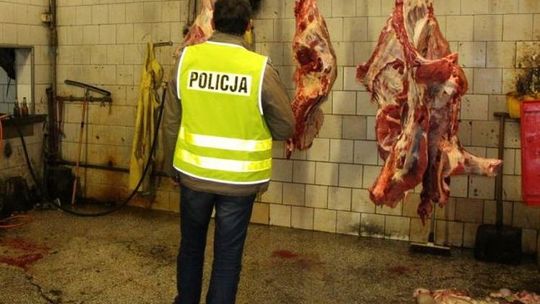 Więzienie za nielegalny ubój świni