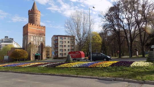 Wiosennie i bratkowo na Łużyckiej Wiosennie i bratkowo na Łużyckiej