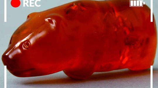 Wirtualna Noc Muzeów