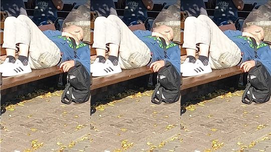 Wizytówka placu Barnima? - pyta czytelnik