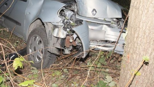 Wjechał renaultem do lasu