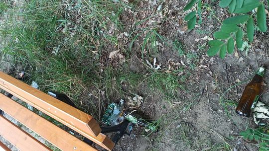 Władze Gryfina obojętne na bałagan i brak koszy - apel mieszkańców