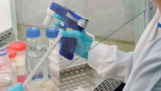 Woda już dobra – zapewniają sanepid i burmistrz Gryfina. PUK przeprasza