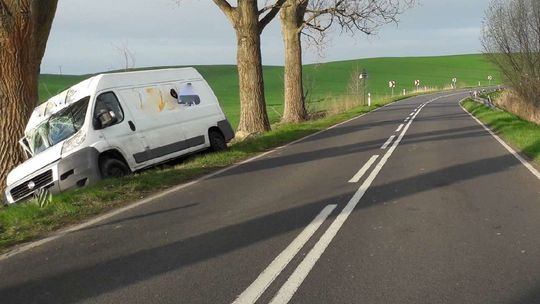 Wpadł na drzewo koło jeziora Wpadł na drzewo koło jeziora