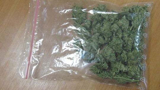 Wpadł nastolatek z narkotykami