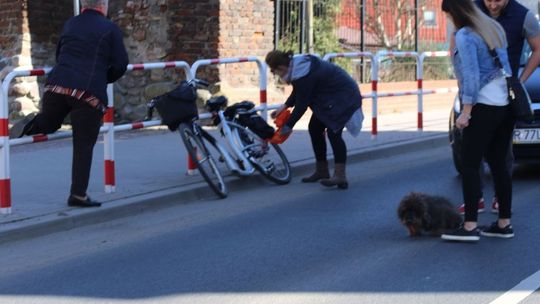 Wpadł pod koła na ulicy 