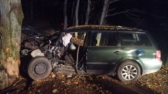 Wpadła na niego zwierzyna, a potem uderzył w drzewo. Pasażerka w szpitalu