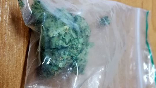 Wpadła z kilkoma działkami marihuany