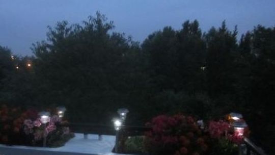 Wpadli trzej działkowi złodzieje