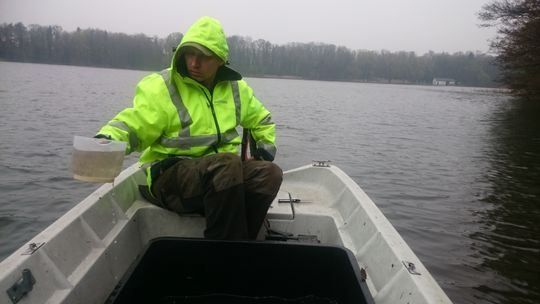 Wpuścili do wody 700 tys. sztuk szczupaka