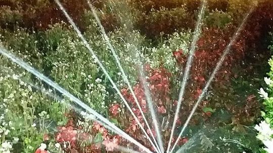 Wracają upały. Jak sobie radzić 