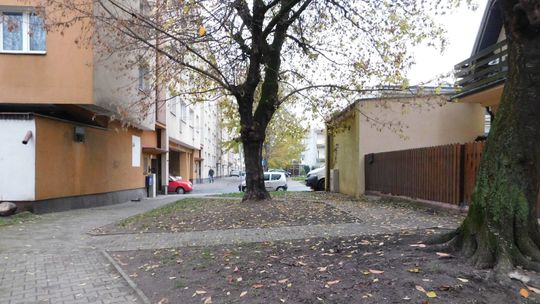 Wreszcie posprzątali [nterwencja igryfino]