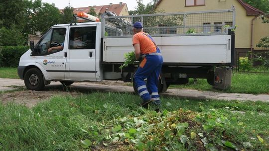 Wreszcie przycinają