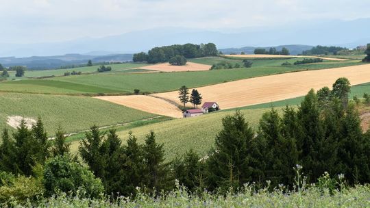 WSPARCIE ROLNIKÓW W RAMACH WSPÓLNEJ POLITYKI ROLNEJ WSPARCIE ROLNIKÓW W RAMACH WSPÓLNEJ POLITYKI ROLNEJ
