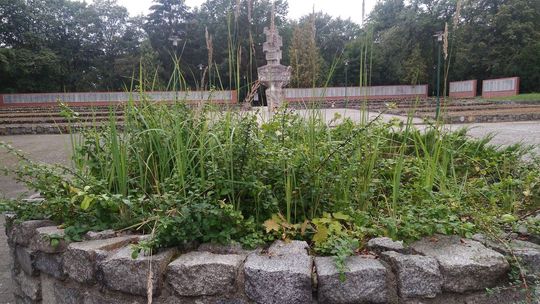 Wstyd tamtędy chodzić