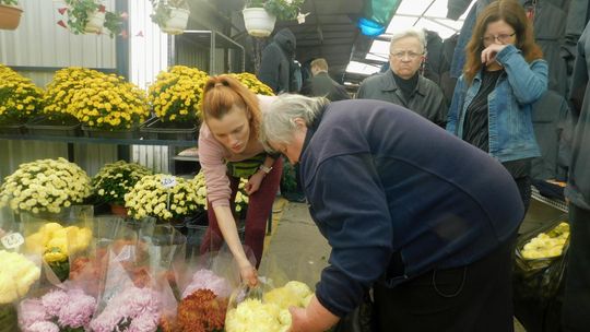 Wszystkich Świętych: po ile chryzantemy i znicze? [ZDJĘCIA]