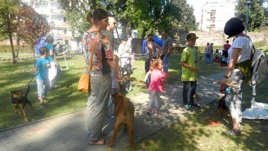 Wybieg dla psów w Gryfinie