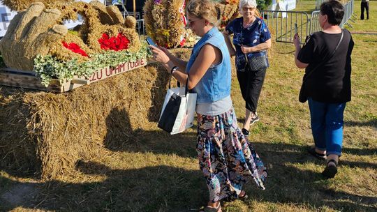 Wybrali najpiękniejszy wieniec i najsmaczniejsze specjały. I te stoiska... [FOTO]