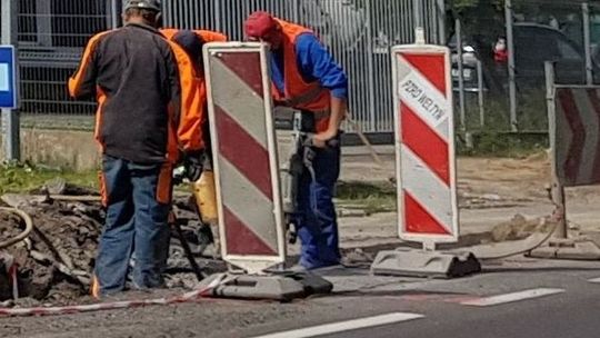 Wyciągnęli kości ludzkie. Czy genetycy sądowi wyjaśnią sprawę?